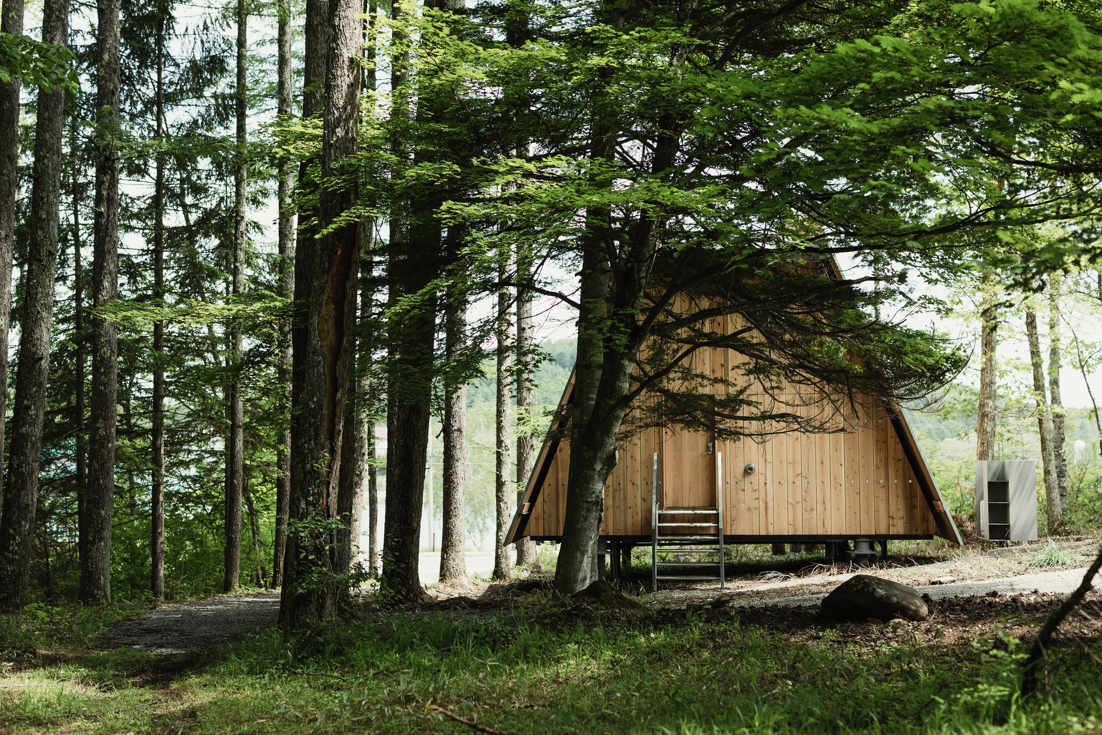 A wooden cabin in a forest with a ladder leading to the entrance.