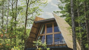 Una cabaña de madera con techo inclinado, ventanas grandes y rodeada de árboles.
