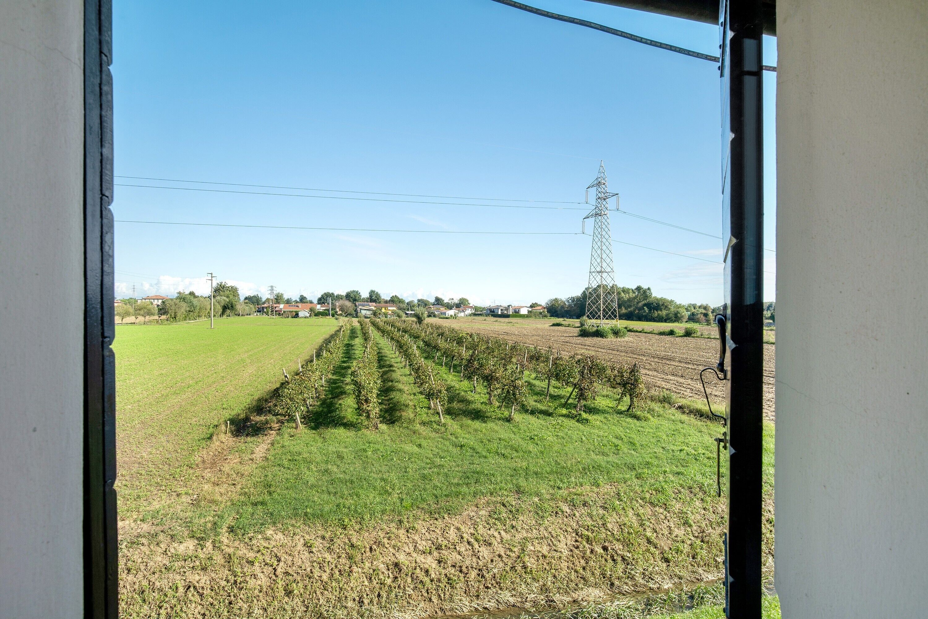 A view through a window of a vineyard with rows of grapevines, a power line tower, and a clear sky.