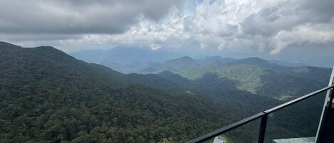 Suite junior | Terraza o patio