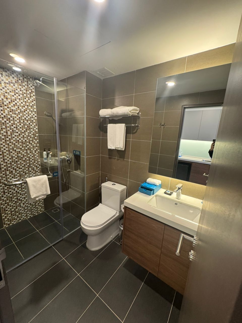 A modern bathroom with a glass shower enclosure, a toilet, a sink with a mirror, and a towel rack.