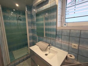 Shower, hair dryer, soap, toilet paper - Gîte ZENITUDE 2* for 2/4/5 persons (Dieffenthal)