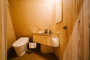 Hair dryer, slippers, towels, shampoo