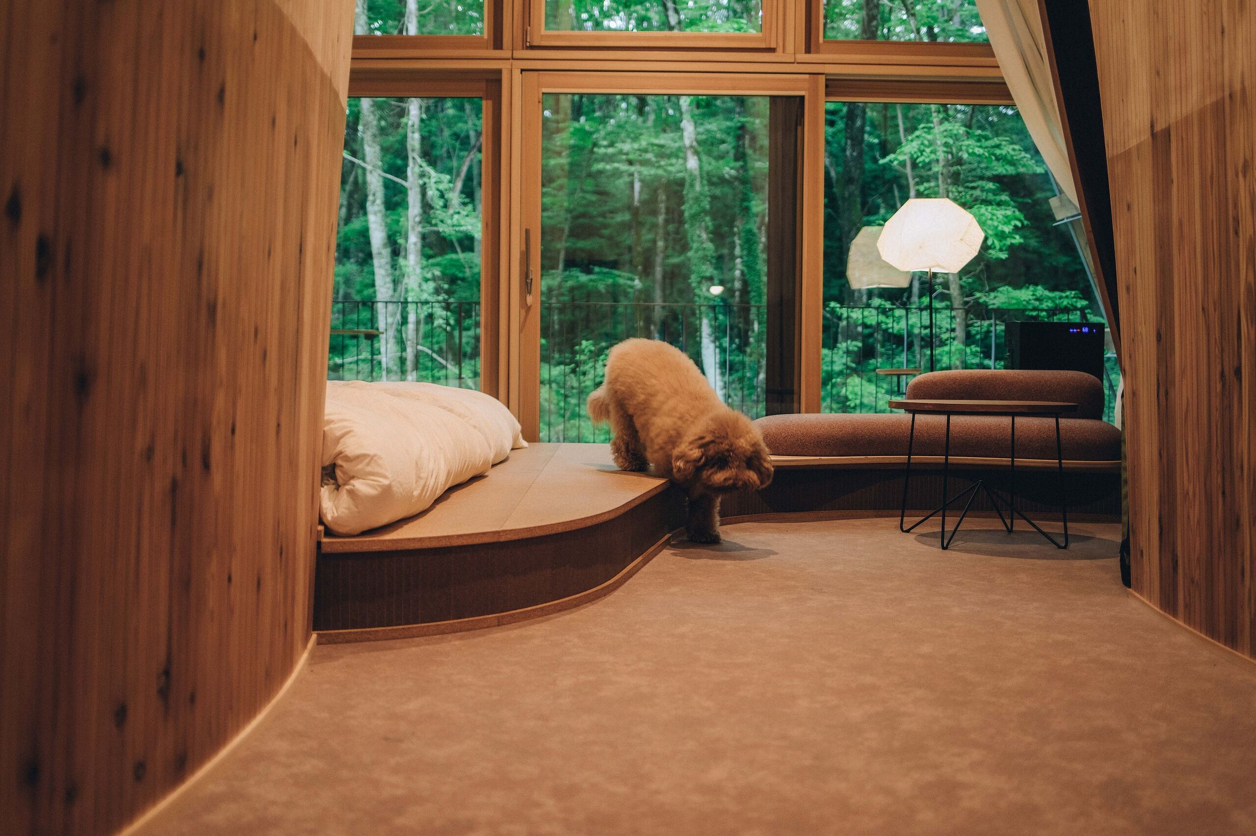 A cozy room with a curved bed, a bench, and a large window overlooking a forest.