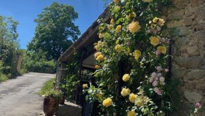 A rustic stone building with a vine-covered wall and a pathway leading to it. - La Frigoule, a gîte in the heart of the Cévennes Park (Saint-Sébastien-d'Aigrefeuille)