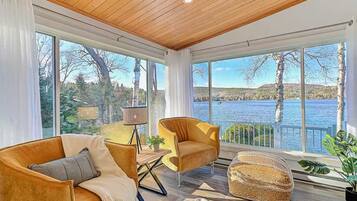 Télévision, cheminée, chaßne hi-fi