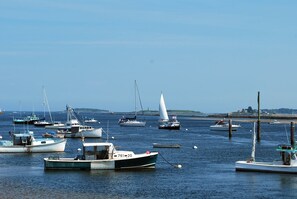A marina with various boats docked, including sailboats and motorboats.