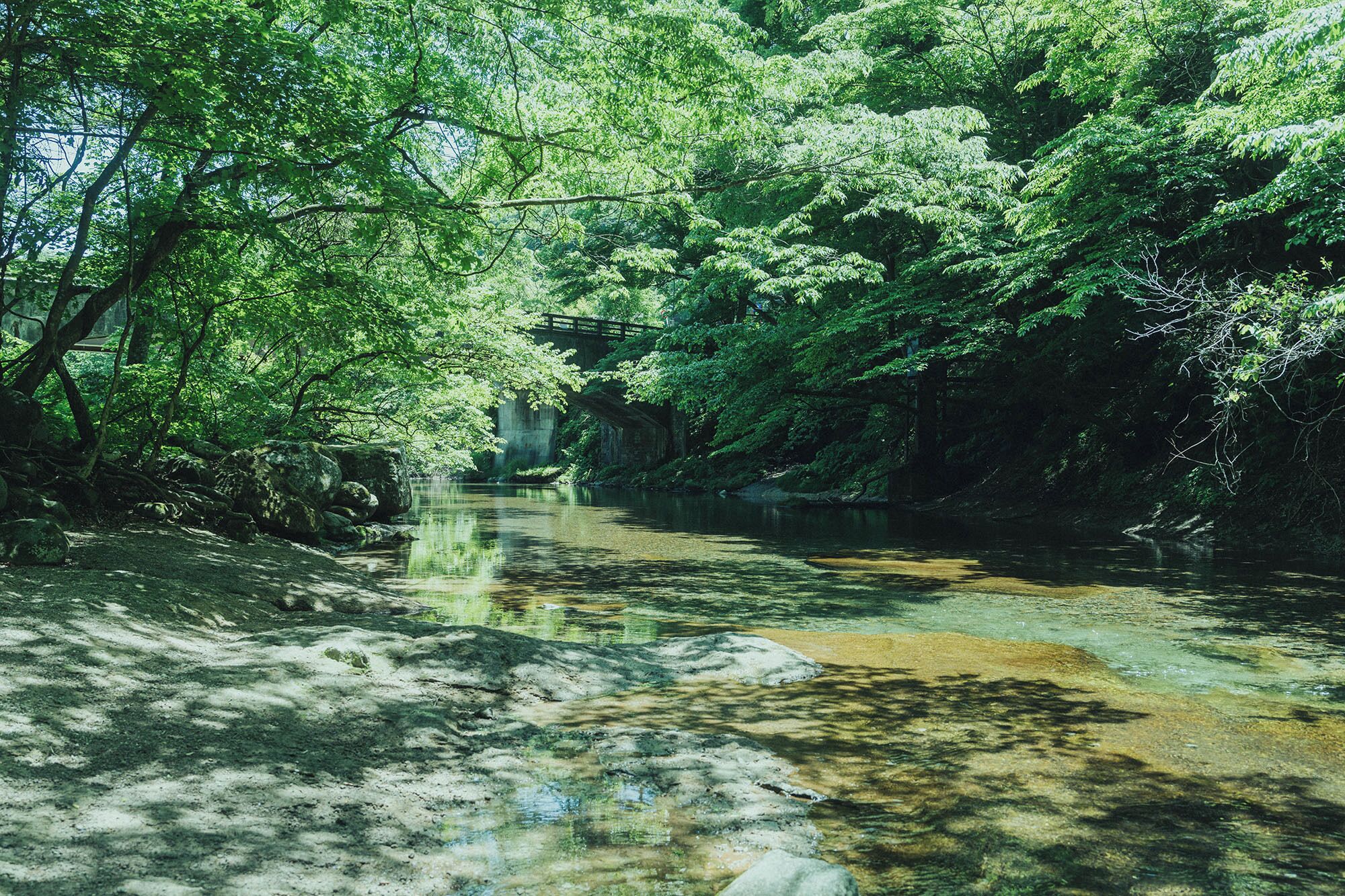 Une rivière paisible, bordée d’une végétation luxuriante et traversée par un pont en bois.