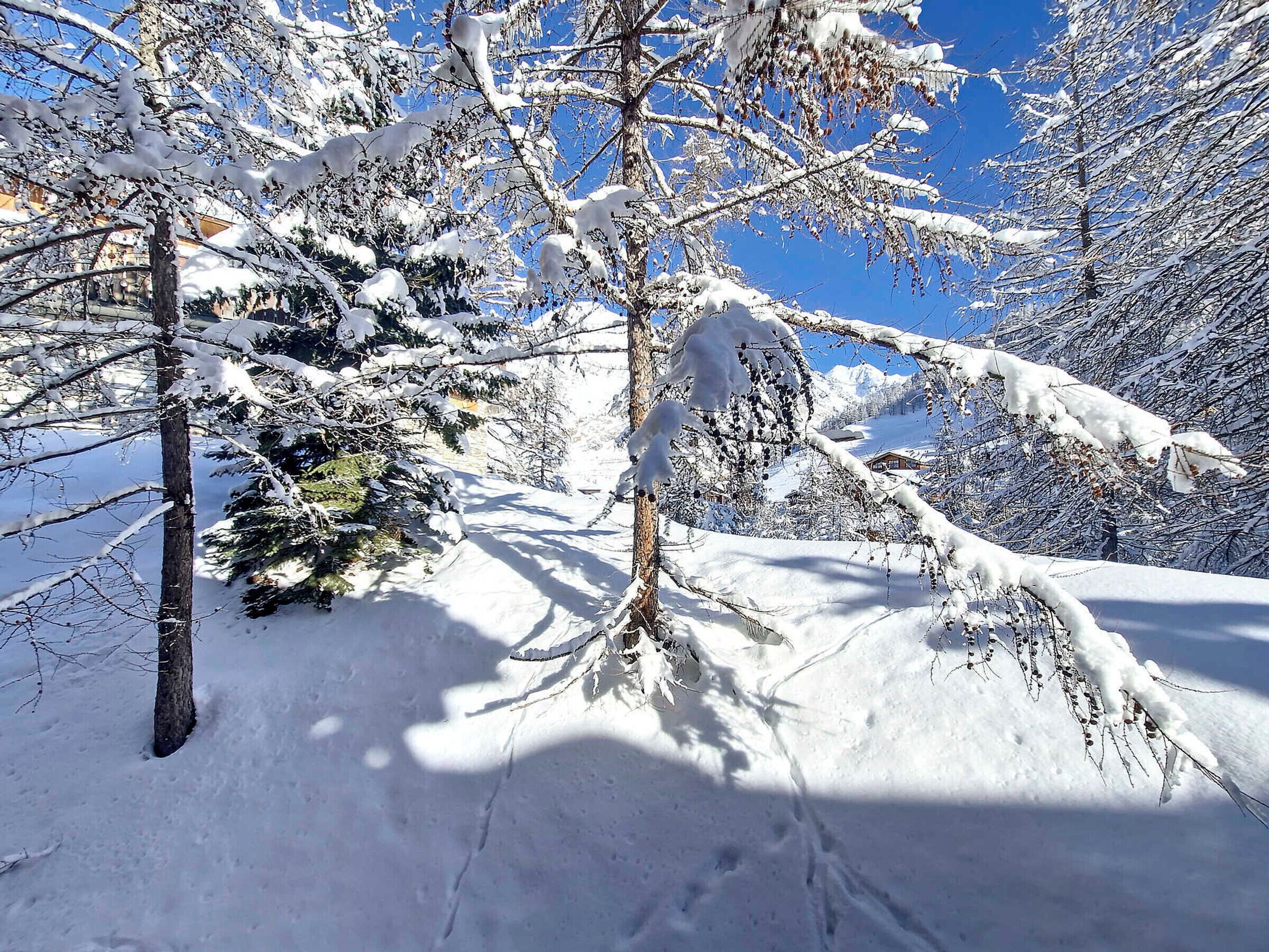 A snow-covered landscape with trees and a clear blue sky.