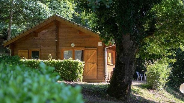 A wooden cabin with a large tree in front, surrounded by greenery.
