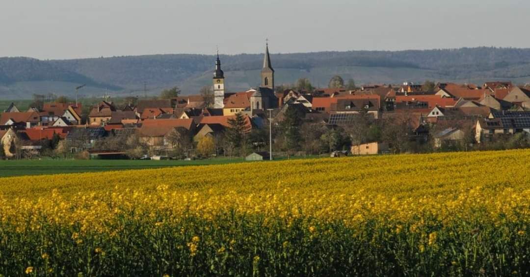 A rural village with traditional houses, a church with a tall steeple, and a field of yellow flowers.