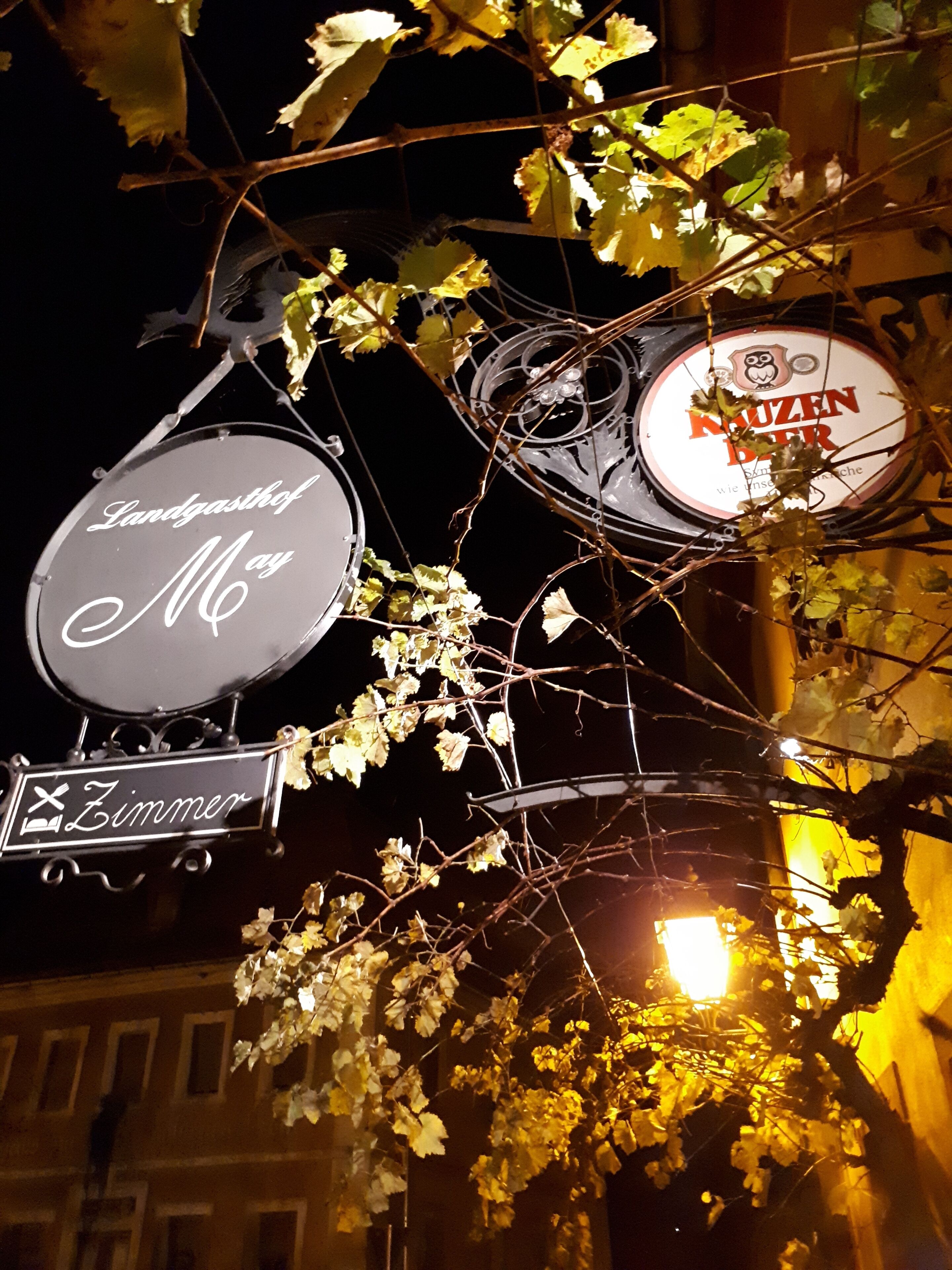 Escena nocturna con letreros iluminados que dicen 'Landgasthof May' y 'Kruzenberger Bier', en medio de ramas desnudas.
