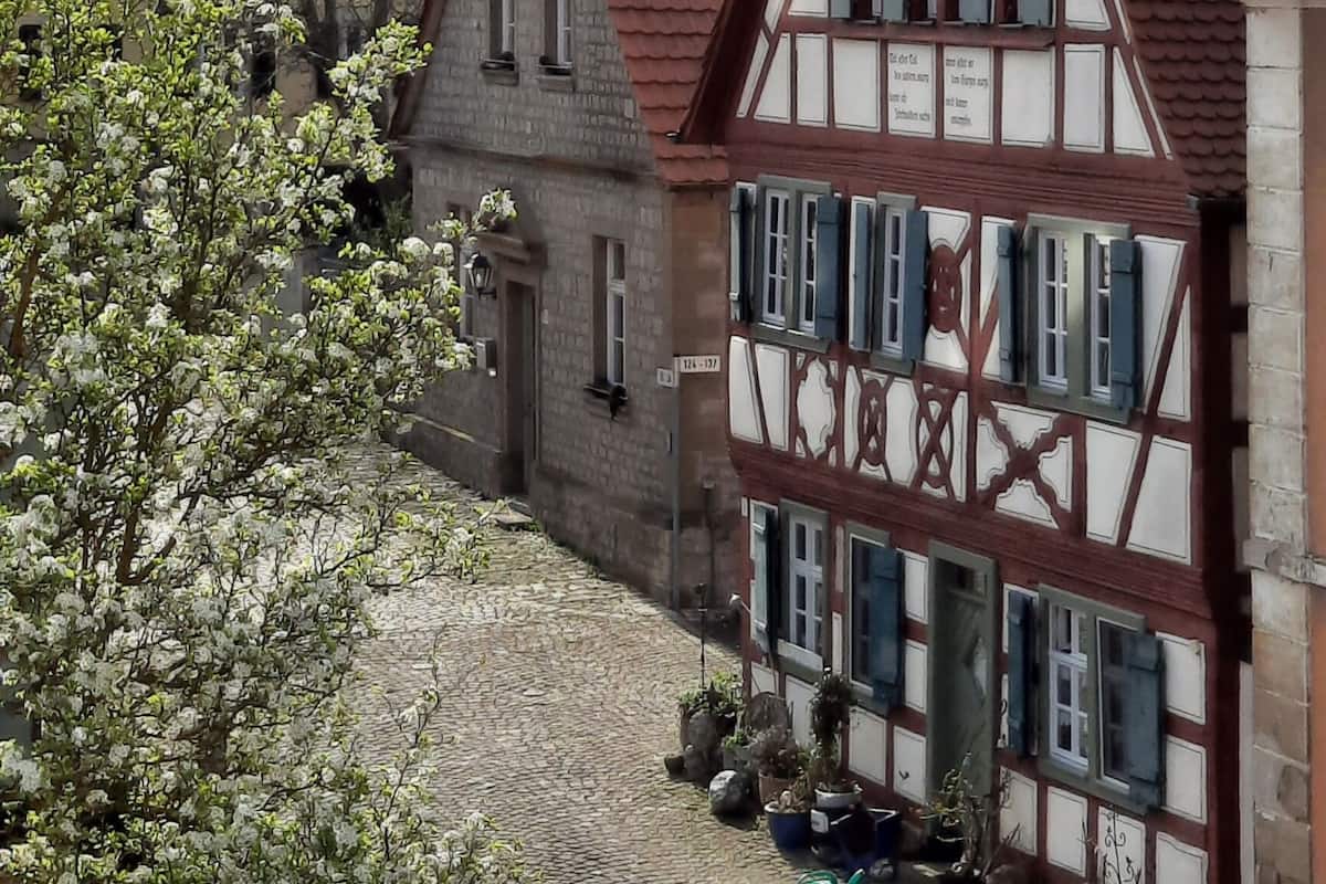 Vista desde la habitación