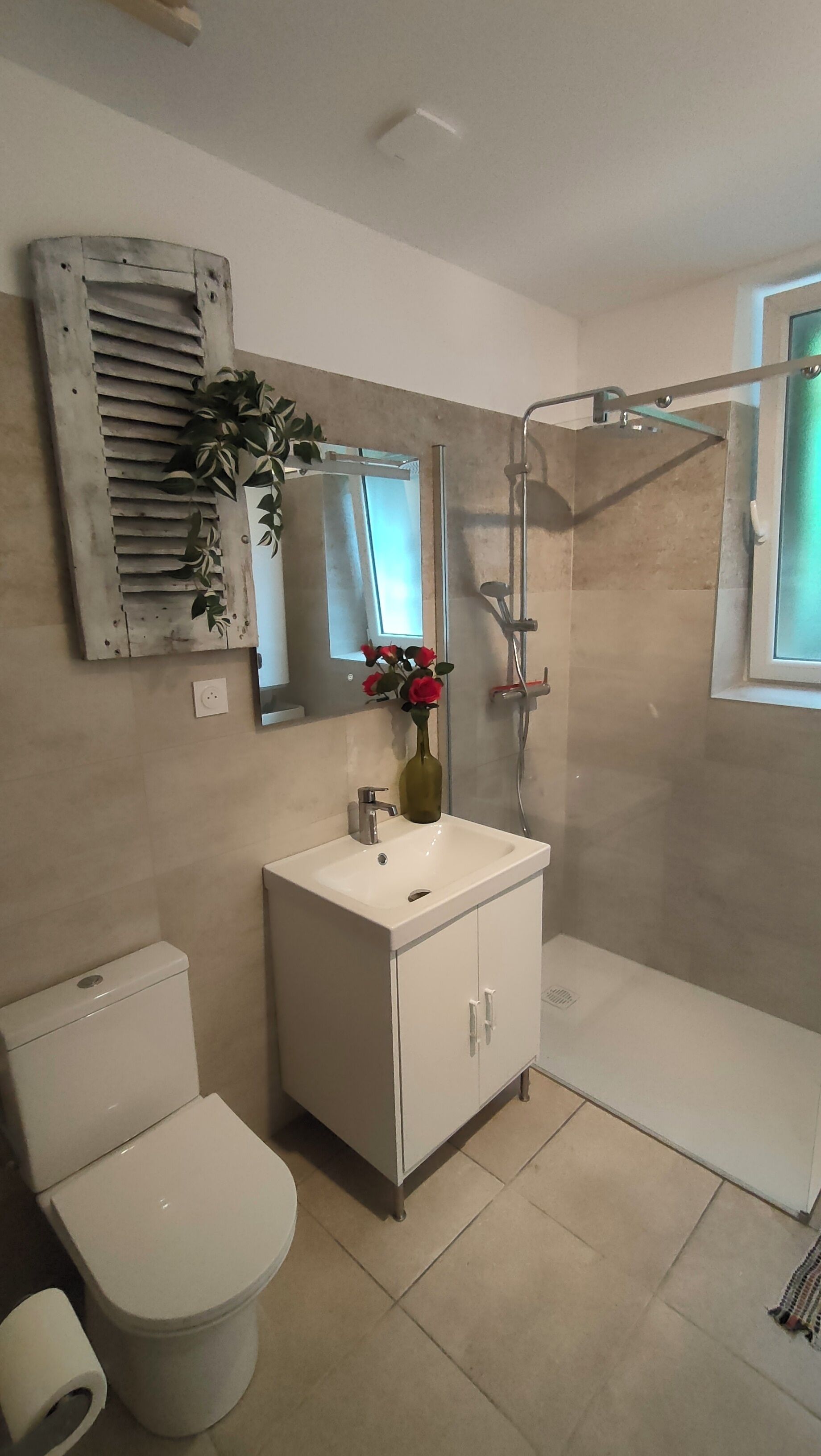 吹风机、肥皂、卫生纸