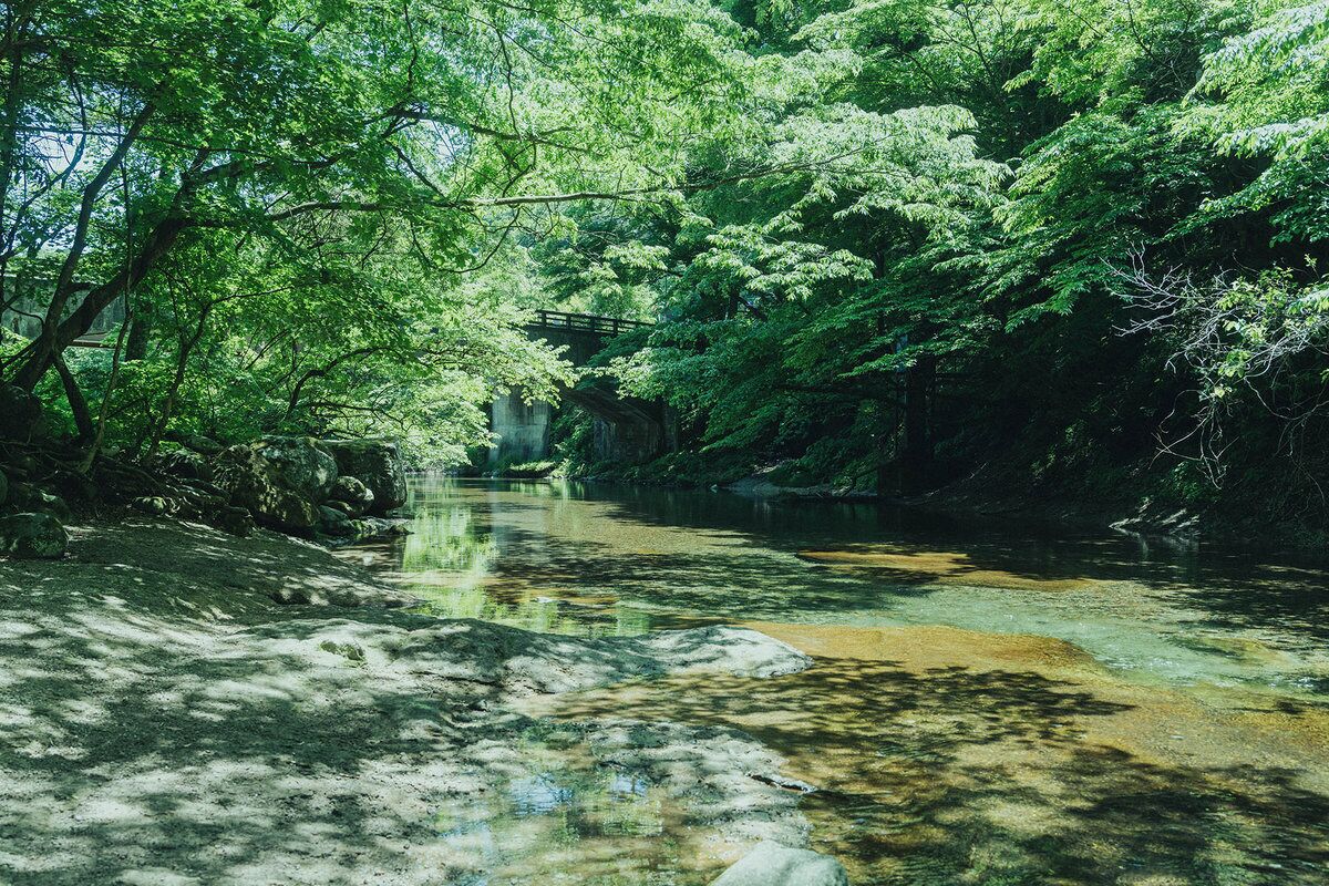 A serene river with clear water, surrounded by dense green foliage and a stone bridge in the background.