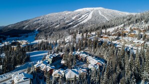 航空写真