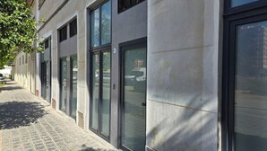 Eine Gebäudefassade mit großen Glasfenstern und -türen, einem gepflasterten Bürgersteig und einem Baum, der Schatten wirft.