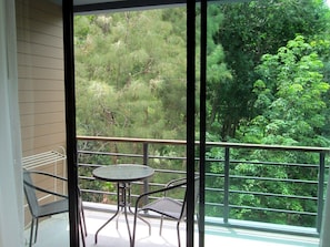 Vista del balcón