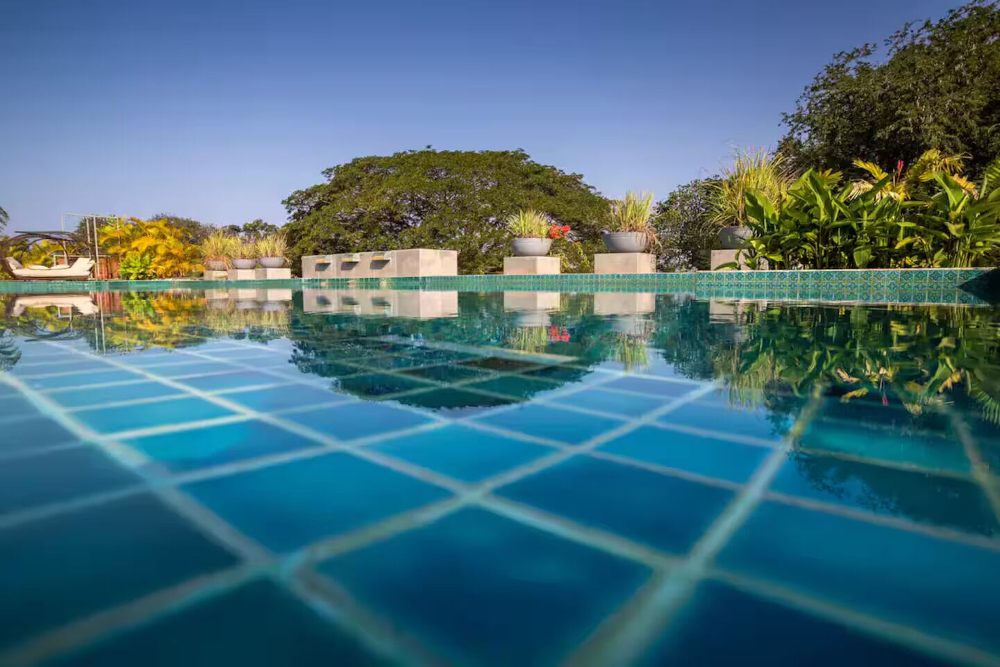 Una piscina azul cristalina con un diseño de mosaicos, rodeada de exuberante vegetación y plantas en macetas.
