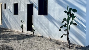 Un bâtiment moderne avec une façade en béton, trois fenêtres et un cactus au premier plan.