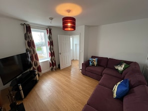 TV, fireplace - Alpaca Farmhouse with all weather private hot tub and alpaca experience included (Dromara)