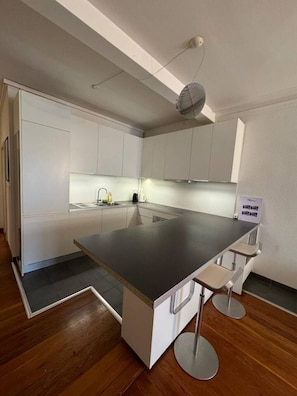 Oven - Cozy apartment in Geneva (Geneva)