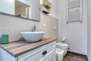 Shower, hair dryer, bidet, towels