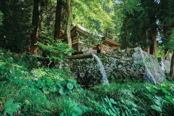 Land view from property