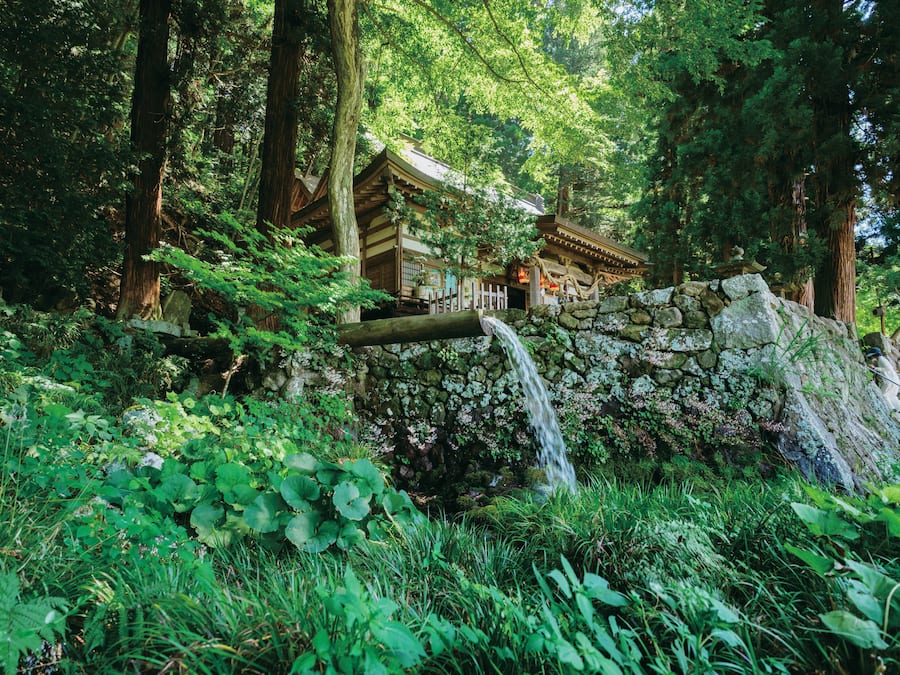 Land view from property