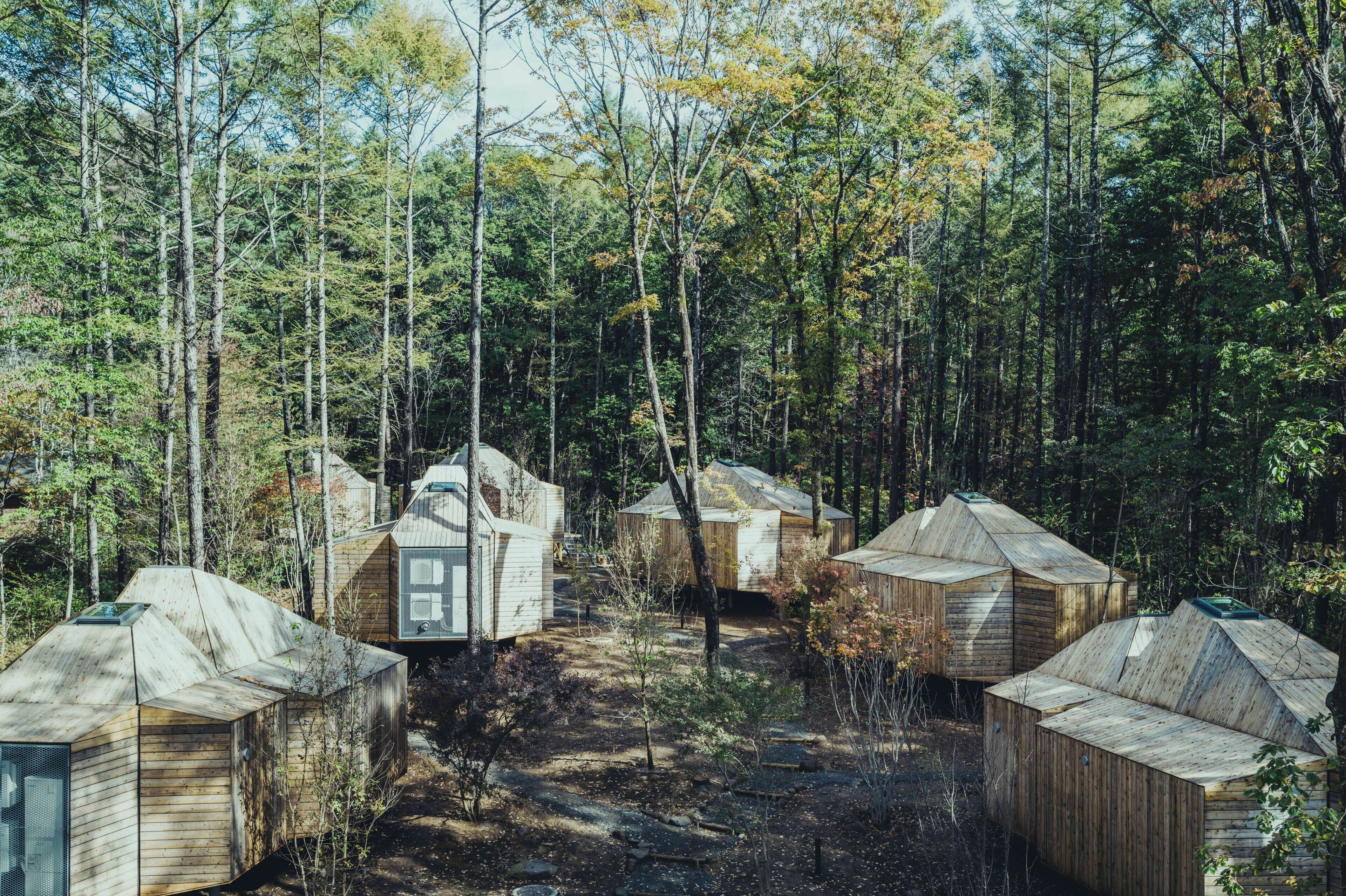 A forest with several wooden cabins.