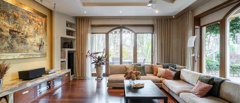 Télévision, cheminée, lecteur de DVD, chaîne hi-fi