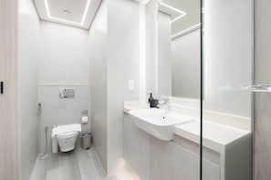 Shower, hair dryer, towels