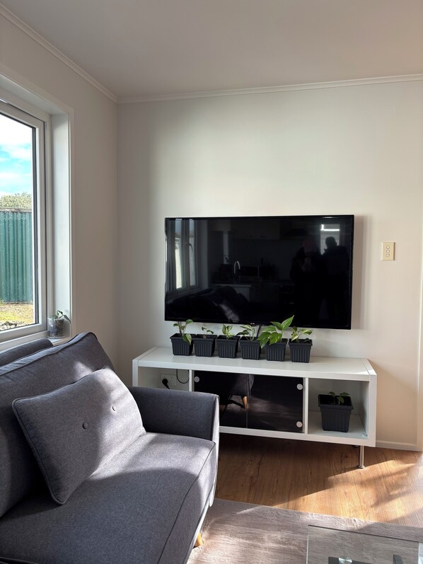 A modern living room with a grey sofa, a flat-screen TV mounted on a white console, and potted plants.
