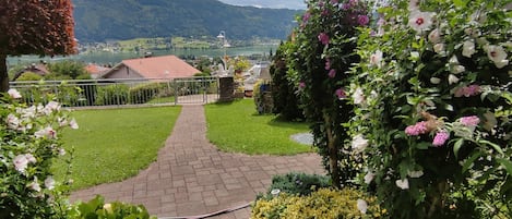 Área da propriedade