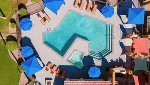An aerial view of a swimming pool area with multiple lounge chairs and umbrellas, surrounded by a landscaped garden. - Pool -Gym- Great for Mid/Long Stays (Mesa)