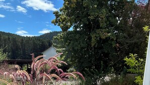A paved outdoor area with a planter box containing various plants and a door to a building. - Vacation apartment in a quiet location, directly on the premium hiking trails (Dahn)