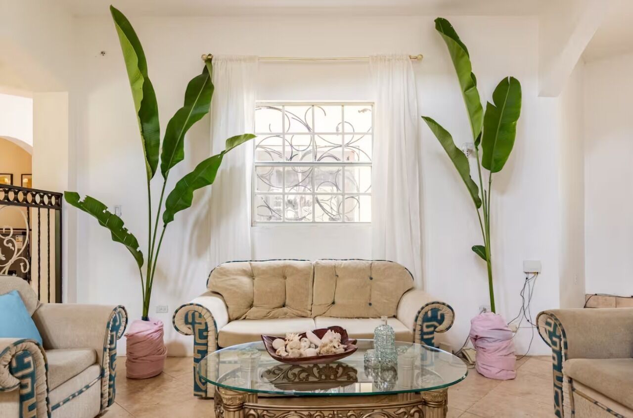 A living room with a beige sofa, two armchairs, a glass coffee table, and large green plants.