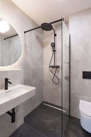 Shower, hair dryer