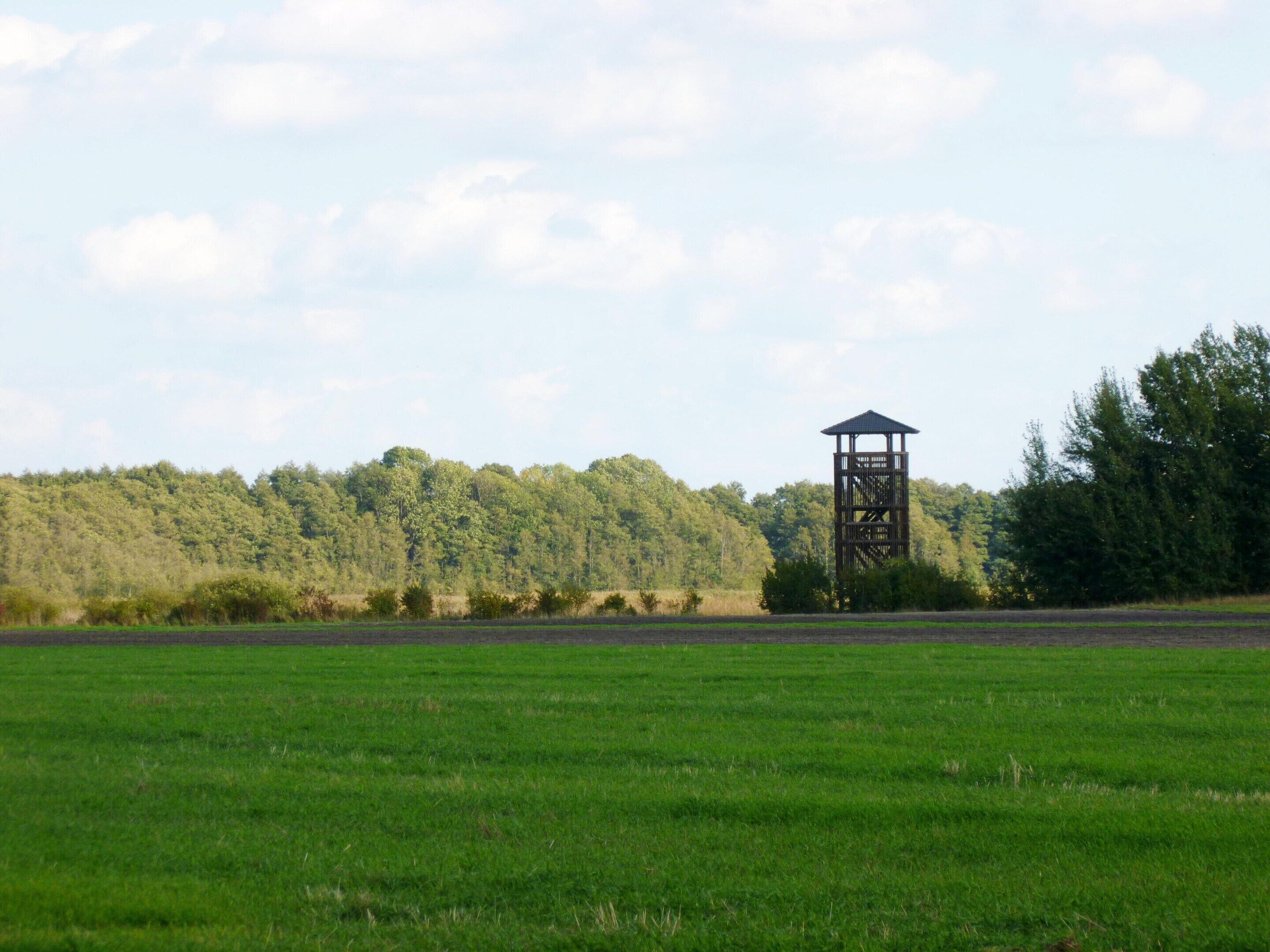 Une structure en forme de tour se dresse dans un champ, avec une colline boisée en arrière-plan.