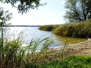 Ferienhaus | Blick von der Unterkunft