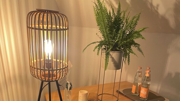Een houten tafel met een vare plant in pot, een vloerlamp en twee waterflessen.