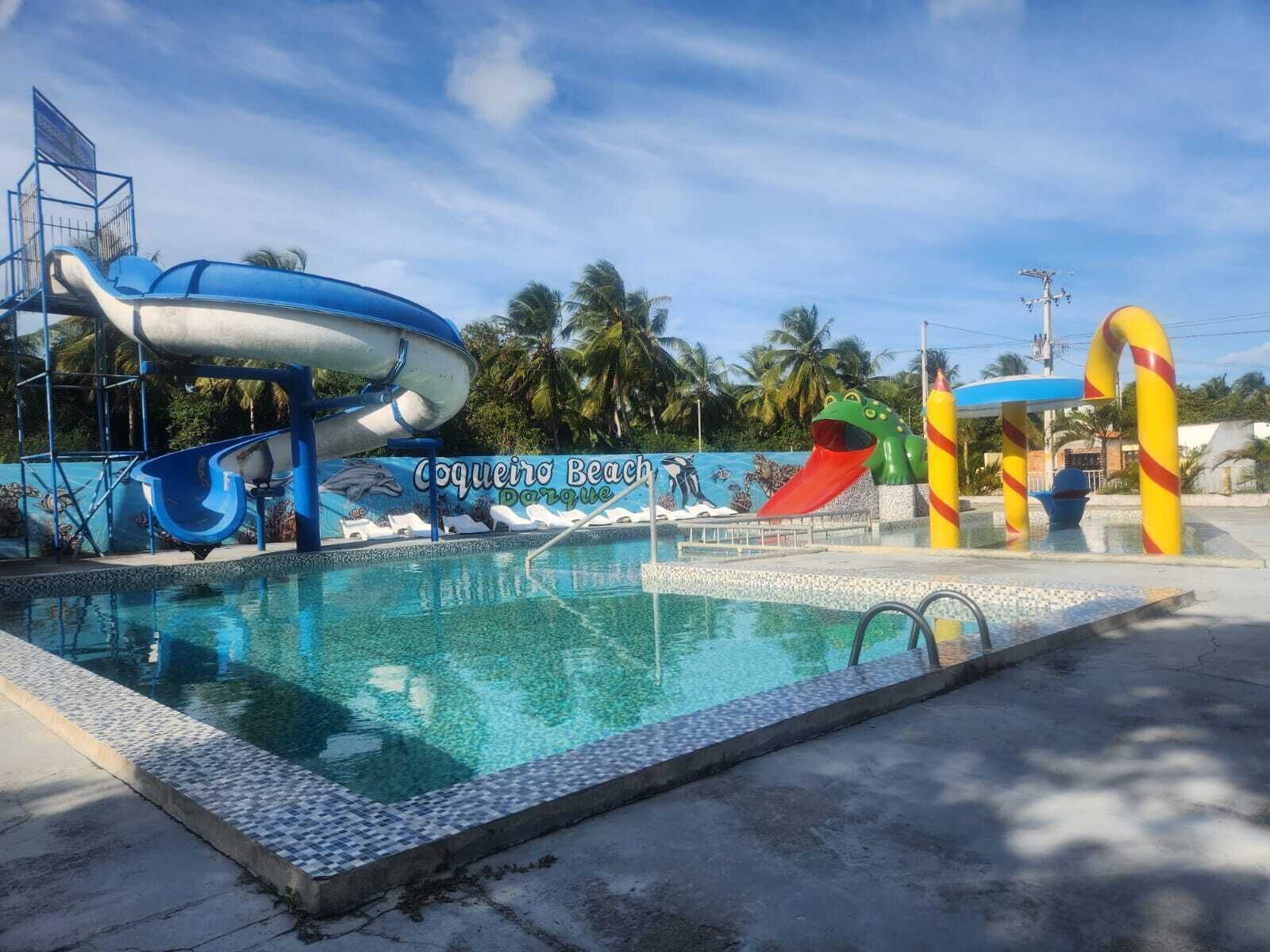 A swimming pool with a water slide, a slide, and a frog-shaped water feature.