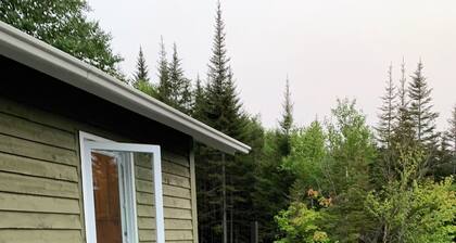 Modern Cozy Cabin On Bonne Bay Pond. 10 min from Gros Morne National Park!