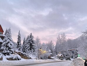 Ulkopuoli