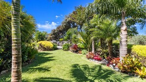 A well-maintained garden with various tropical plants and palm trees. - The Zen House - Our Island (Waiheke Island)