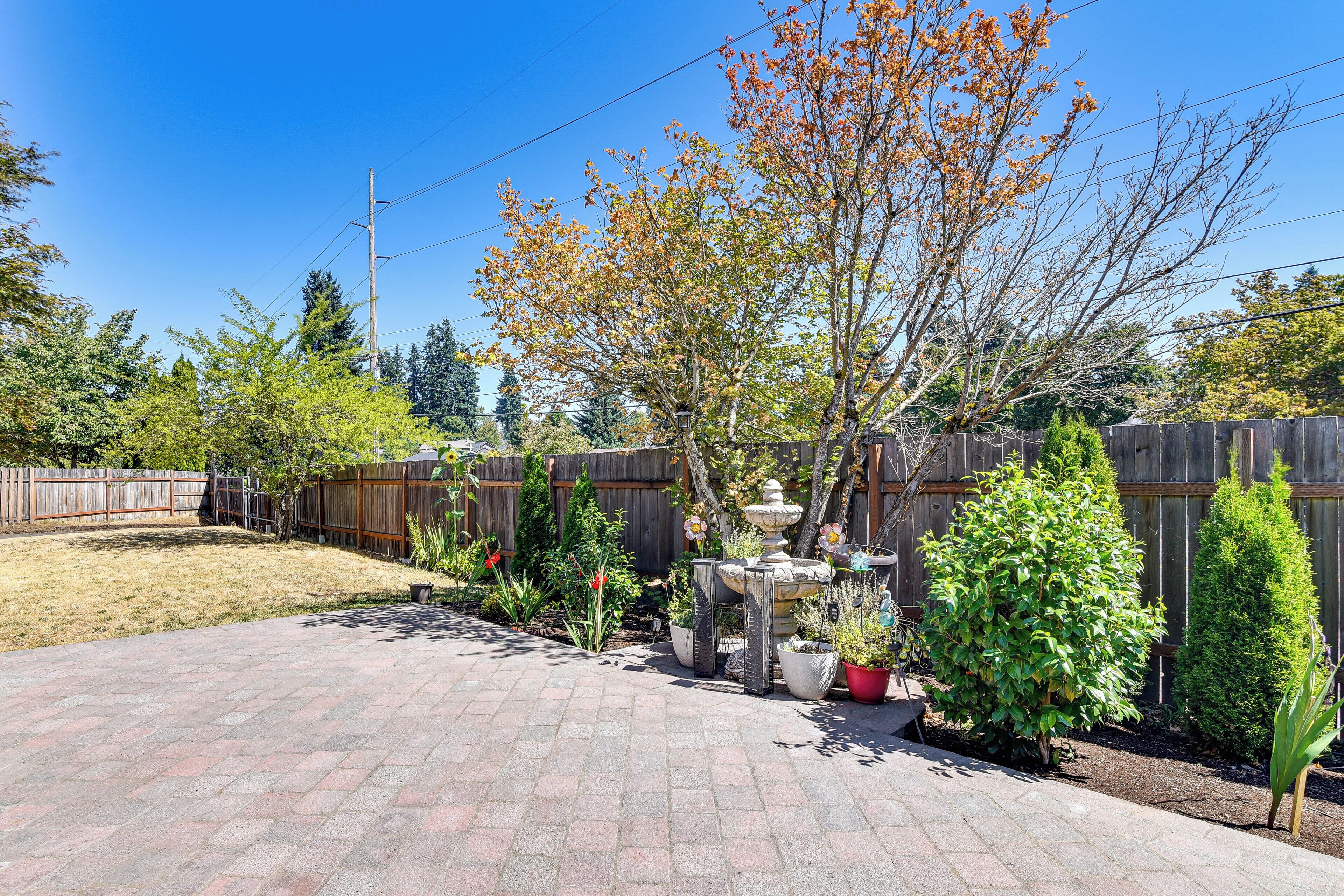 A paved backyard with a wooden fence, various potted plants, and a birdbath.