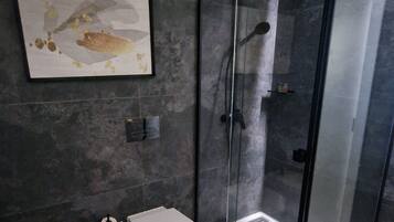 Shower, hair dryer, bidet, towels