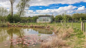 A small, light green cabin with a deck, surrounded by a fenced area with a pond and lily pads. - The Dragonfly (Driffield)