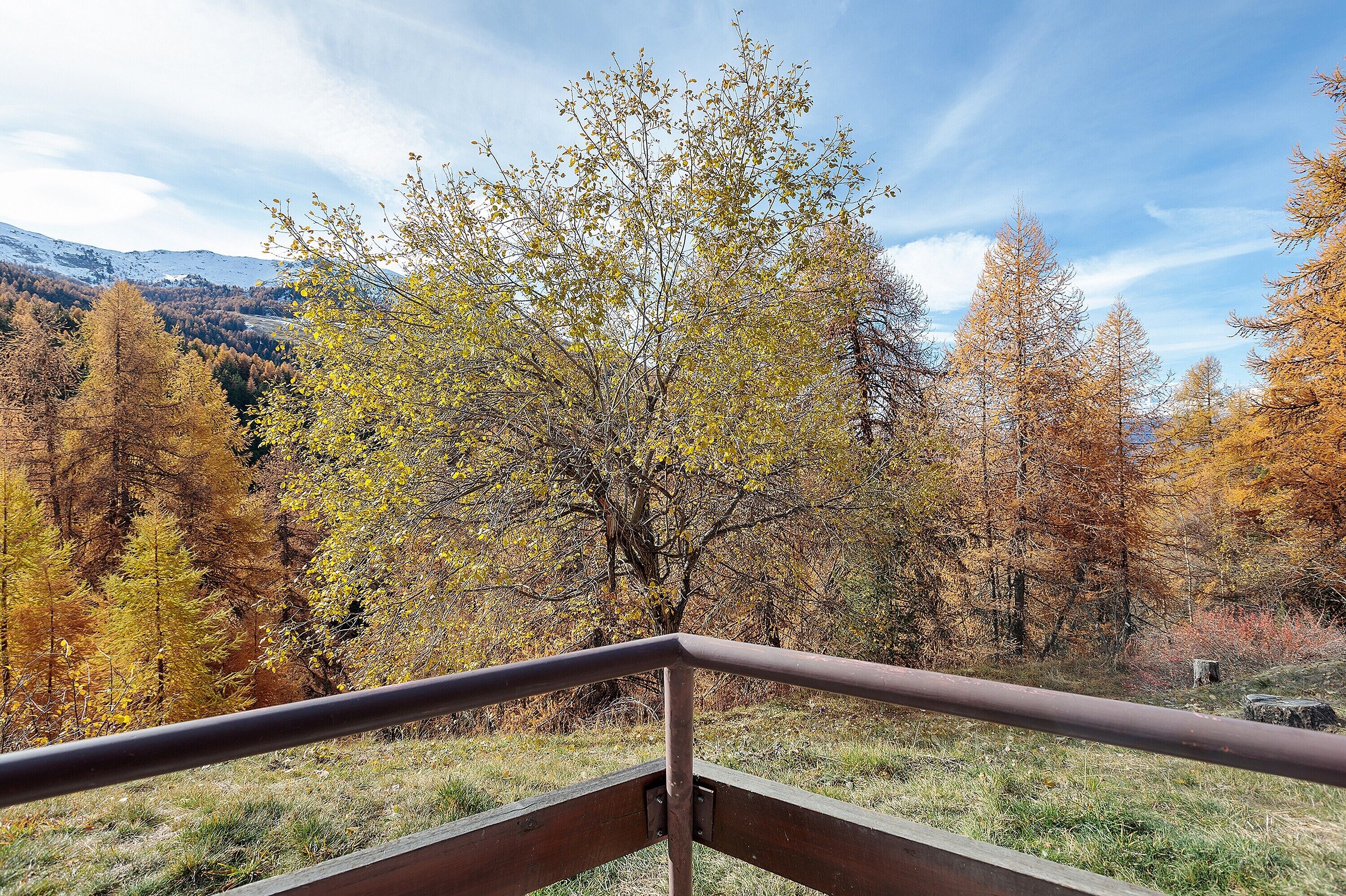 Uitzicht vanaf een balkon met een metalen hekwerk, op een bebost gebied met herfstkleurige bomen en een verafgelegen bergketen.