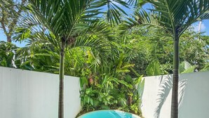A small, round swimming pool surrounded by lush tropical plants and a white wall.